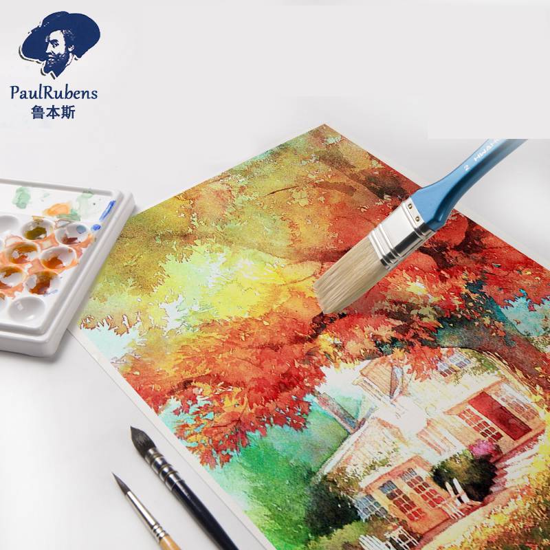 Paul Rubens-papel de acuarela  - Ink Blotter Paper reseña y precio
